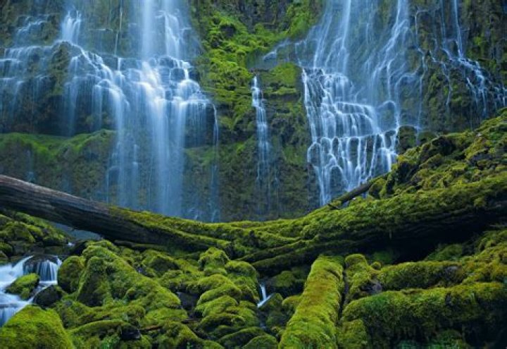 Peter Lik